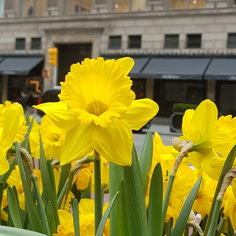 Meet your Posher, Hanna